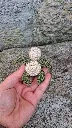 20260501_154609.webp