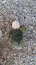 20260501_154603.webp